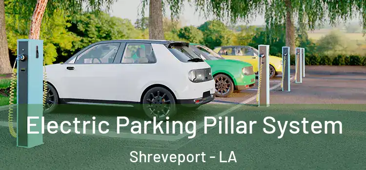  Electric Parking Pillar System Shreveport - LA