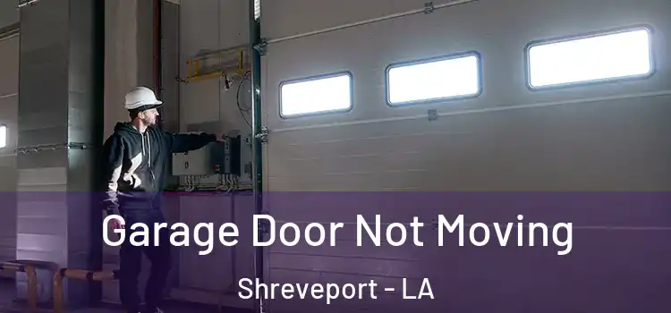  Garage Door Not Moving Shreveport - LA
