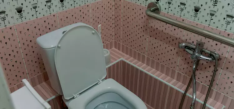 Meeting Diverse Needs With Accessible Restroom Solutions in Shreveport, LA